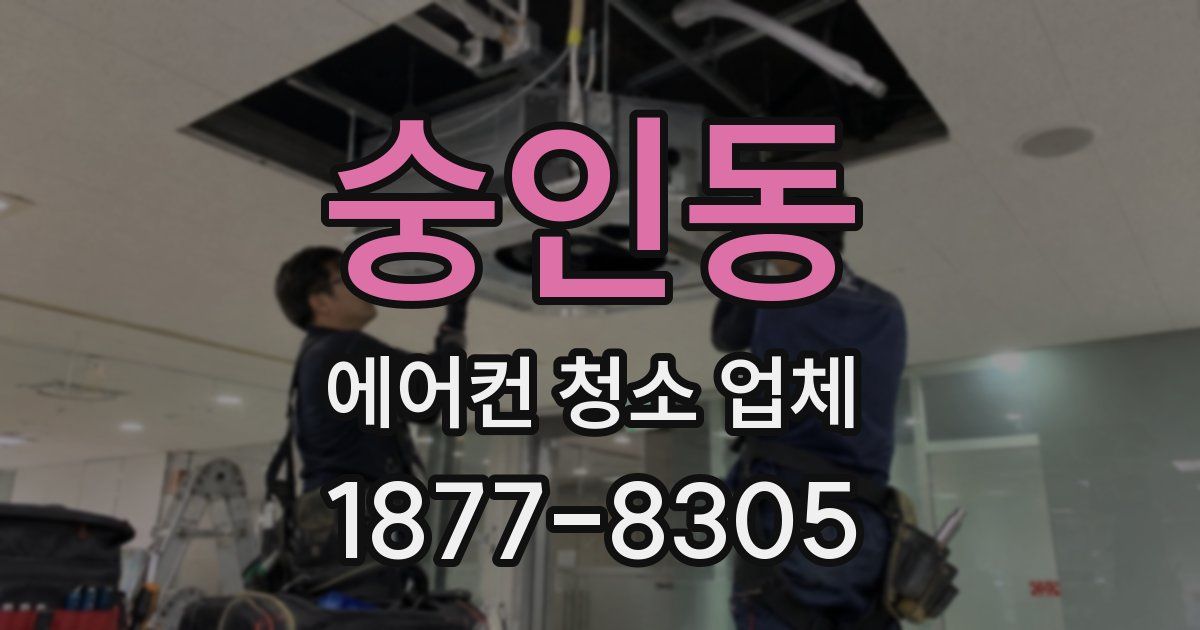 숭인동 에어컨 청소 업체