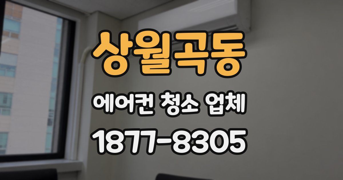 상월곡동 에어컨 청소 업체