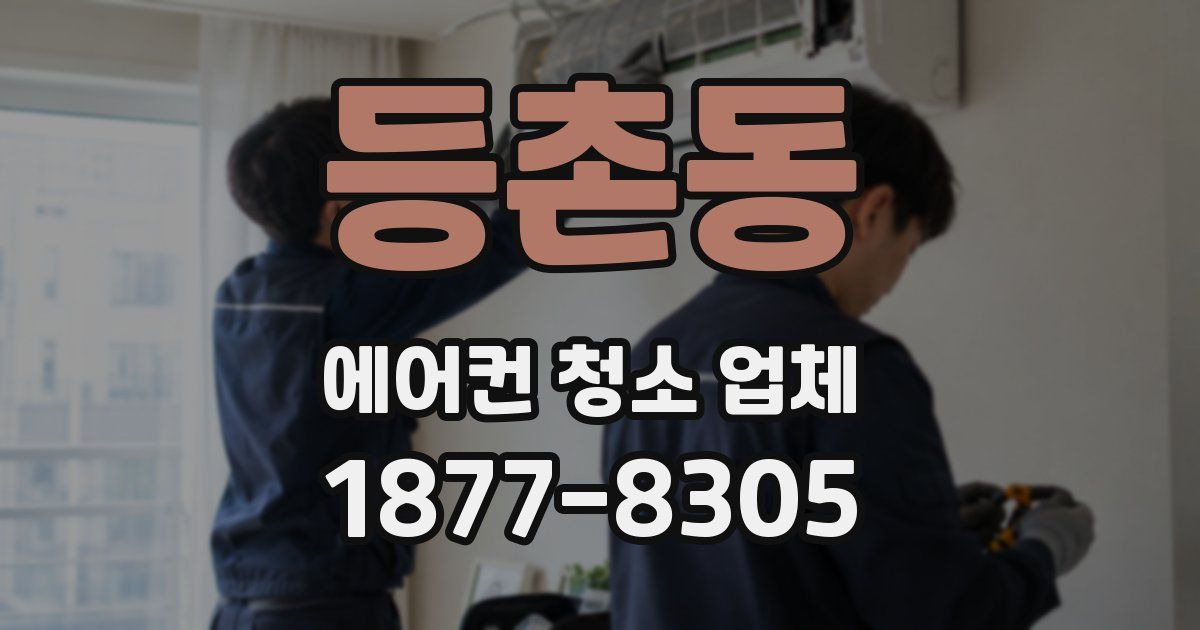 등촌동 에어컨 청소 업체