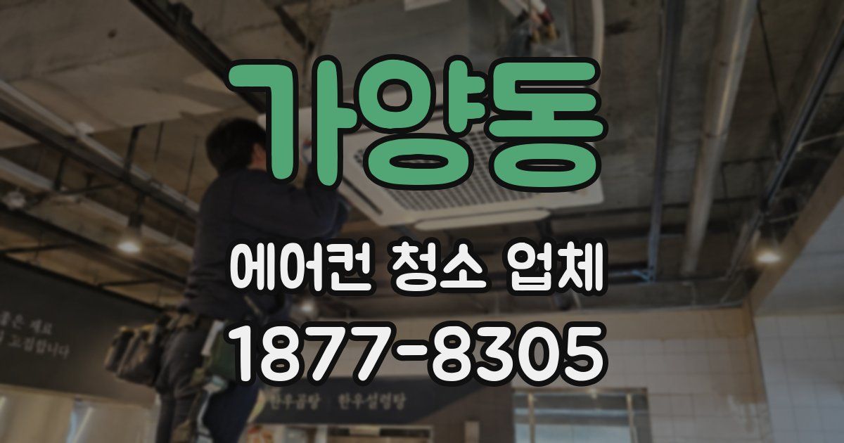 가양동 에어컨 청소 업체