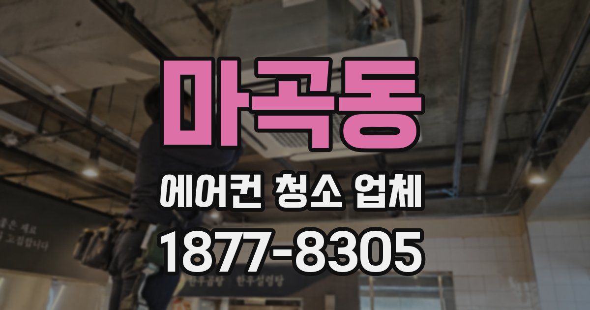 마곡동 에어컨 청소 업체