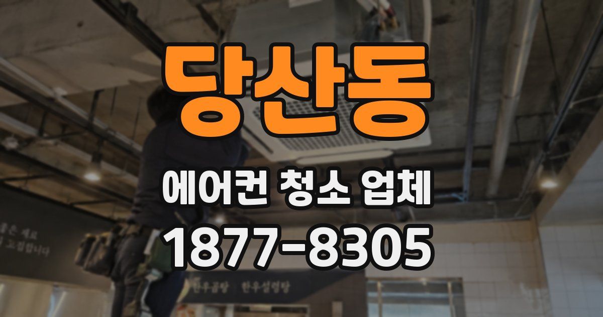 당산동 에어컨 청소 업체