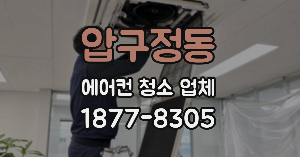 압구정동 에어컨 청소 업체