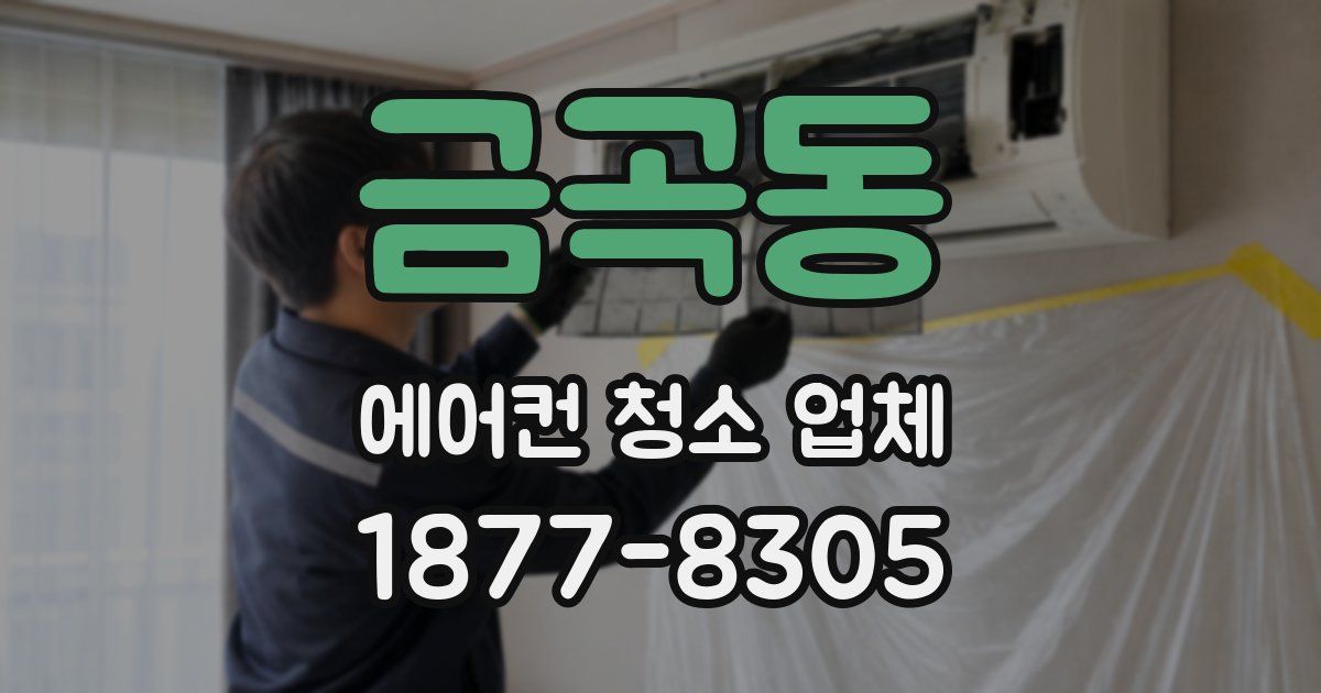 금곡동 에어컨 청소 업체