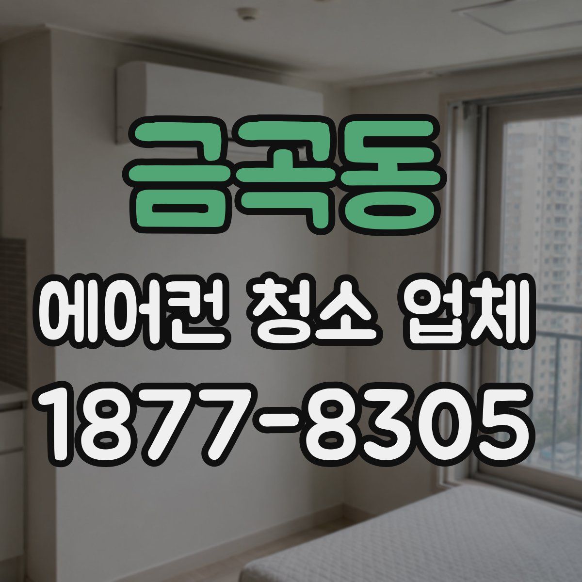 금곡동 에어컨 청소 업체
