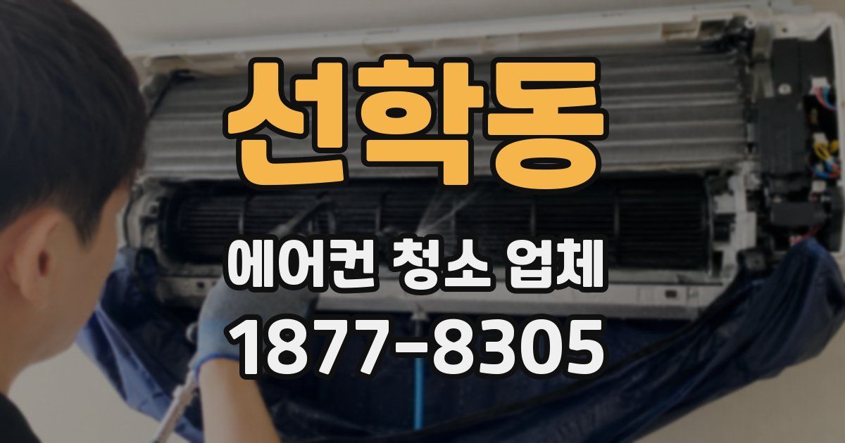 선학동 에어컨 청소 업체