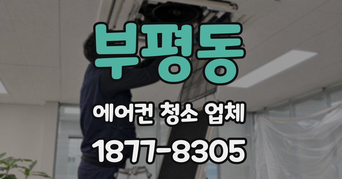 부평동 에어컨 청소 업체