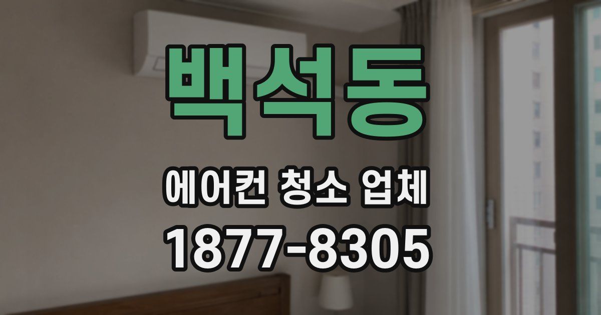 백석동 에어컨 청소 업체