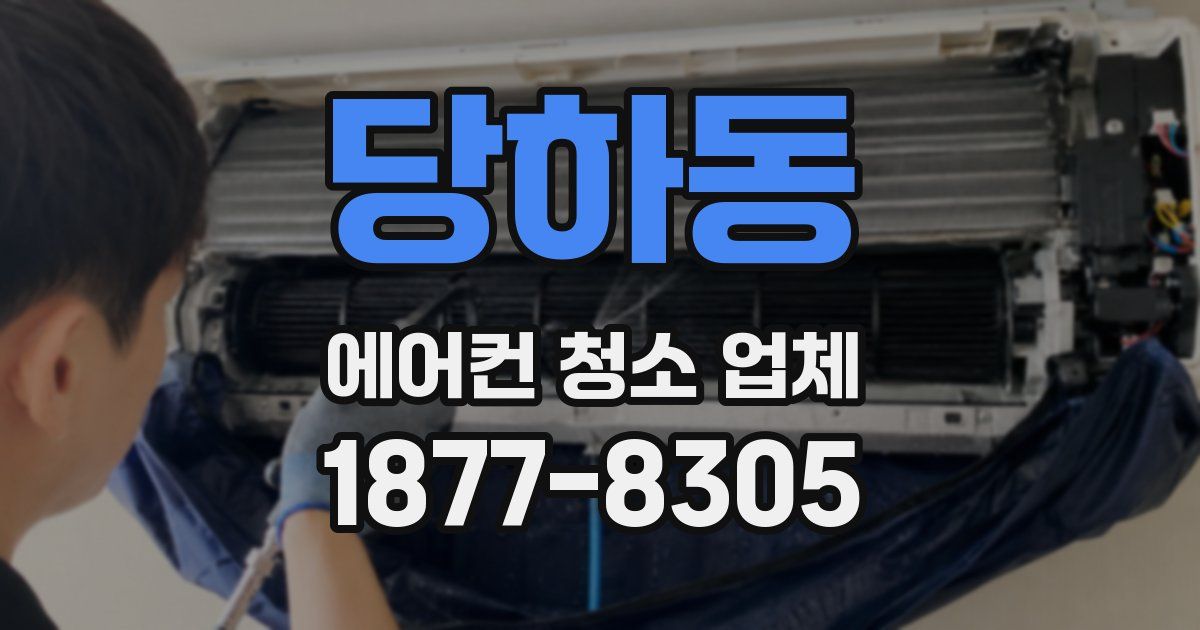 당하동 에어컨 청소 업체
