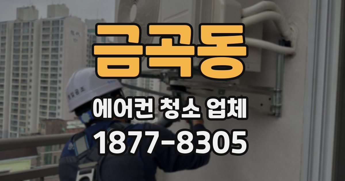 금곡동 에어컨 청소 업체