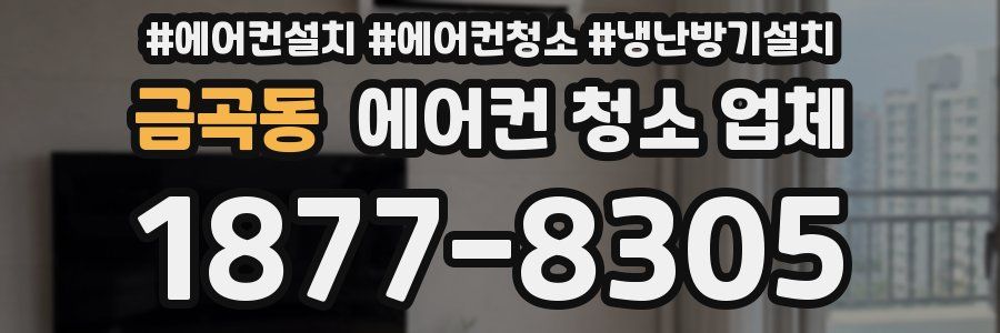 금곡동 에어컨 청소 업체