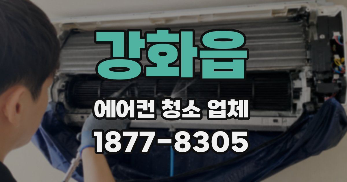 강화읍 에어컨 청소 업체