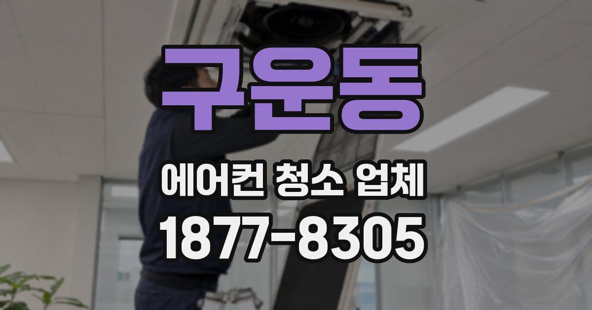 구운동 에어컨 청소 업체