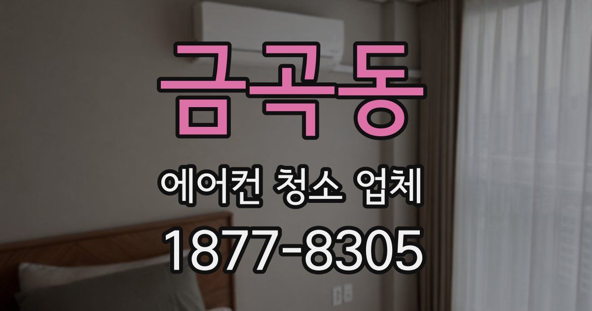 금곡동 에어컨 청소 업체