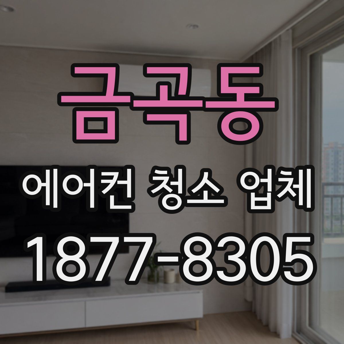 금곡동 에어컨 청소 업체