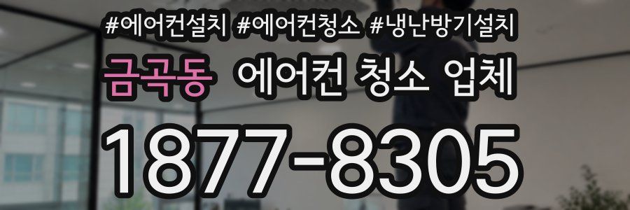 금곡동 에어컨 청소 업체