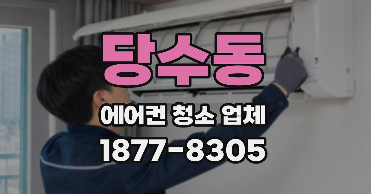 당수동 에어컨 청소 업체