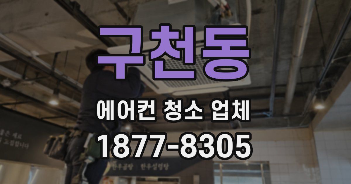 구천동 에어컨 청소 업체