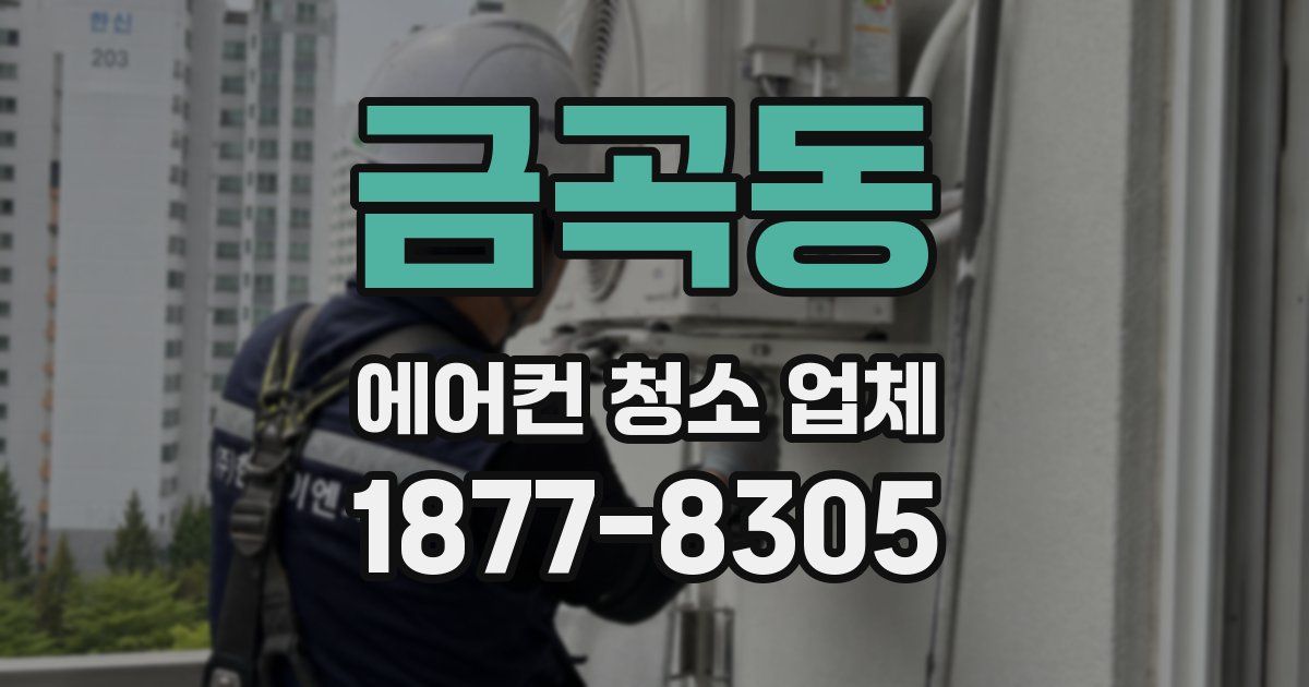 금곡동 에어컨 청소 업체