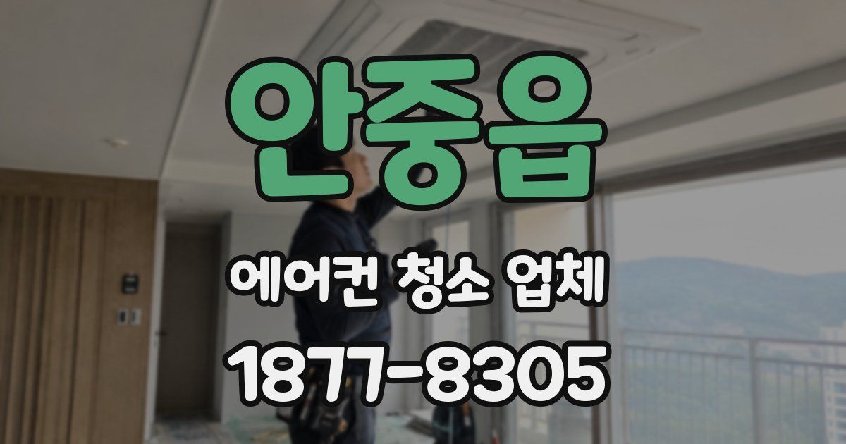 안중읍 에어컨 청소 업체