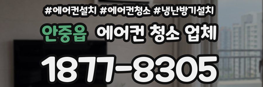 안중읍 에어컨 청소 업체