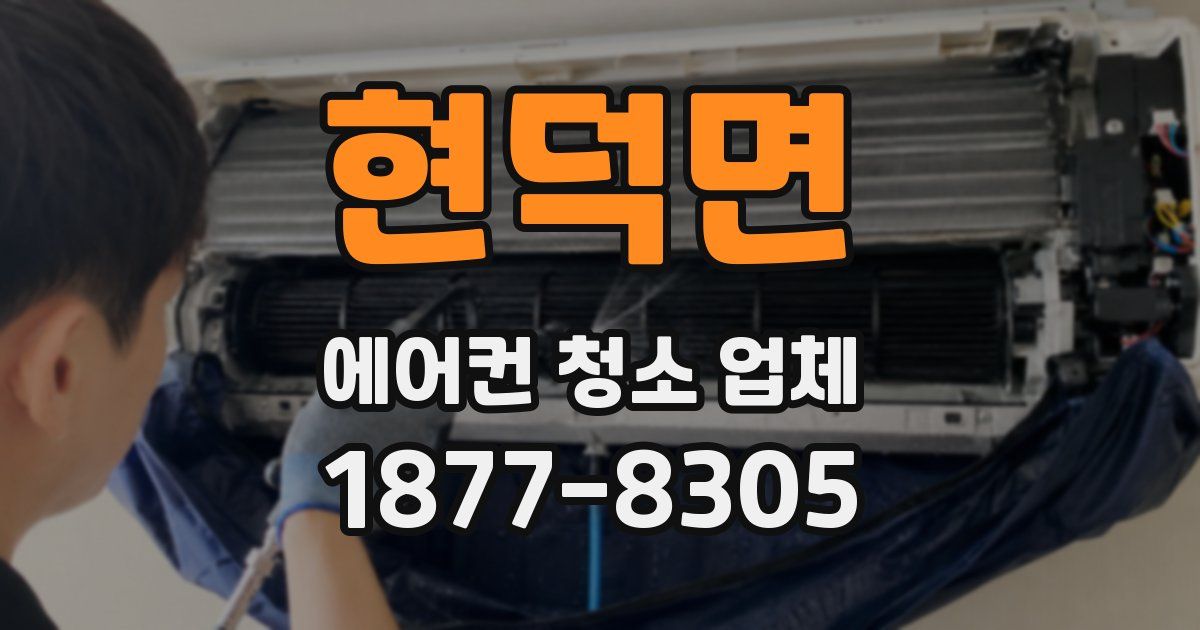 현덕면 에어컨 청소 업체