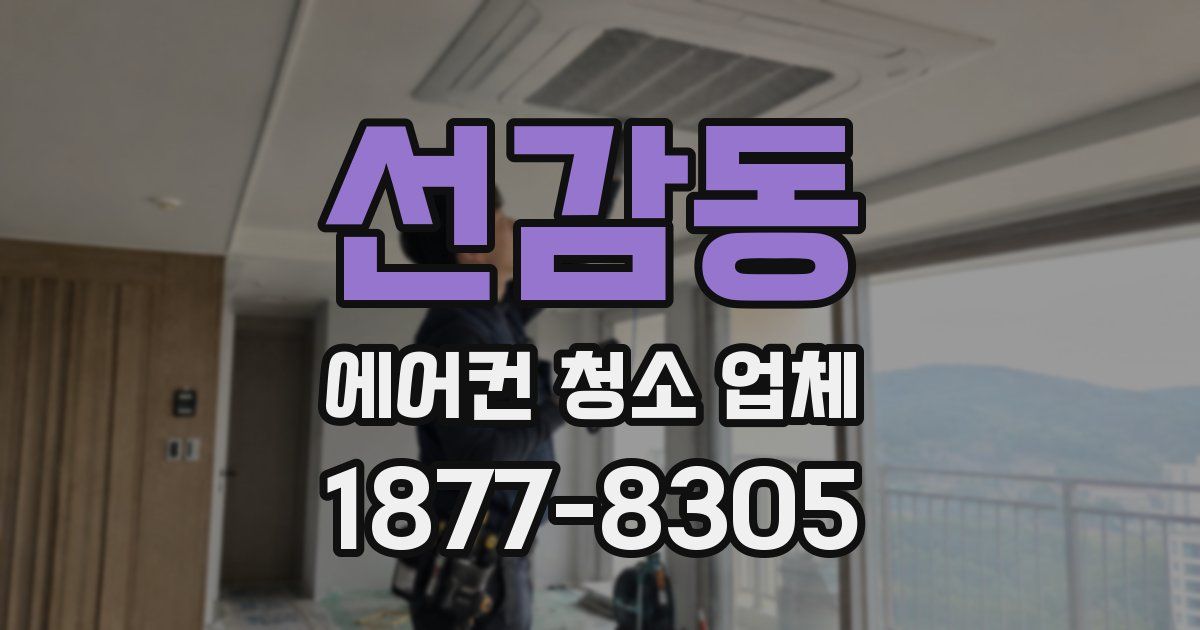 선감동 에어컨 청소 업체