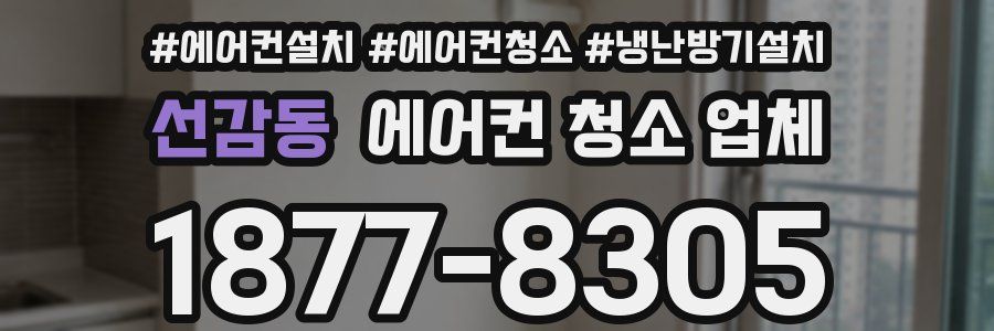 선감동 에어컨 청소 업체