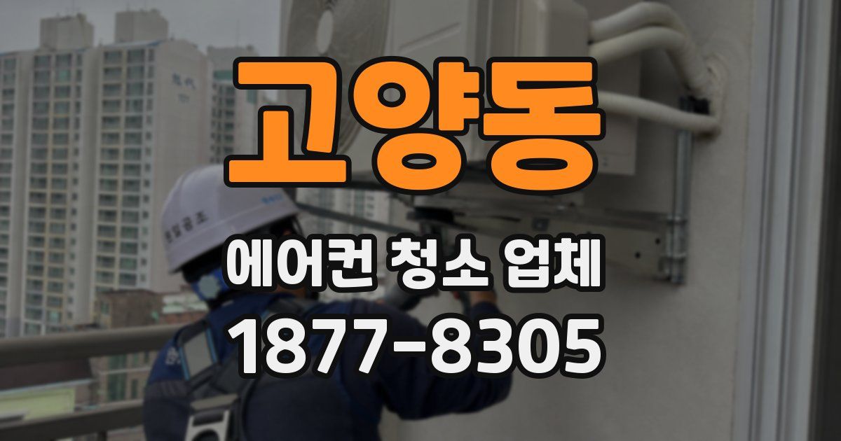 고양동 에어컨 청소 업체