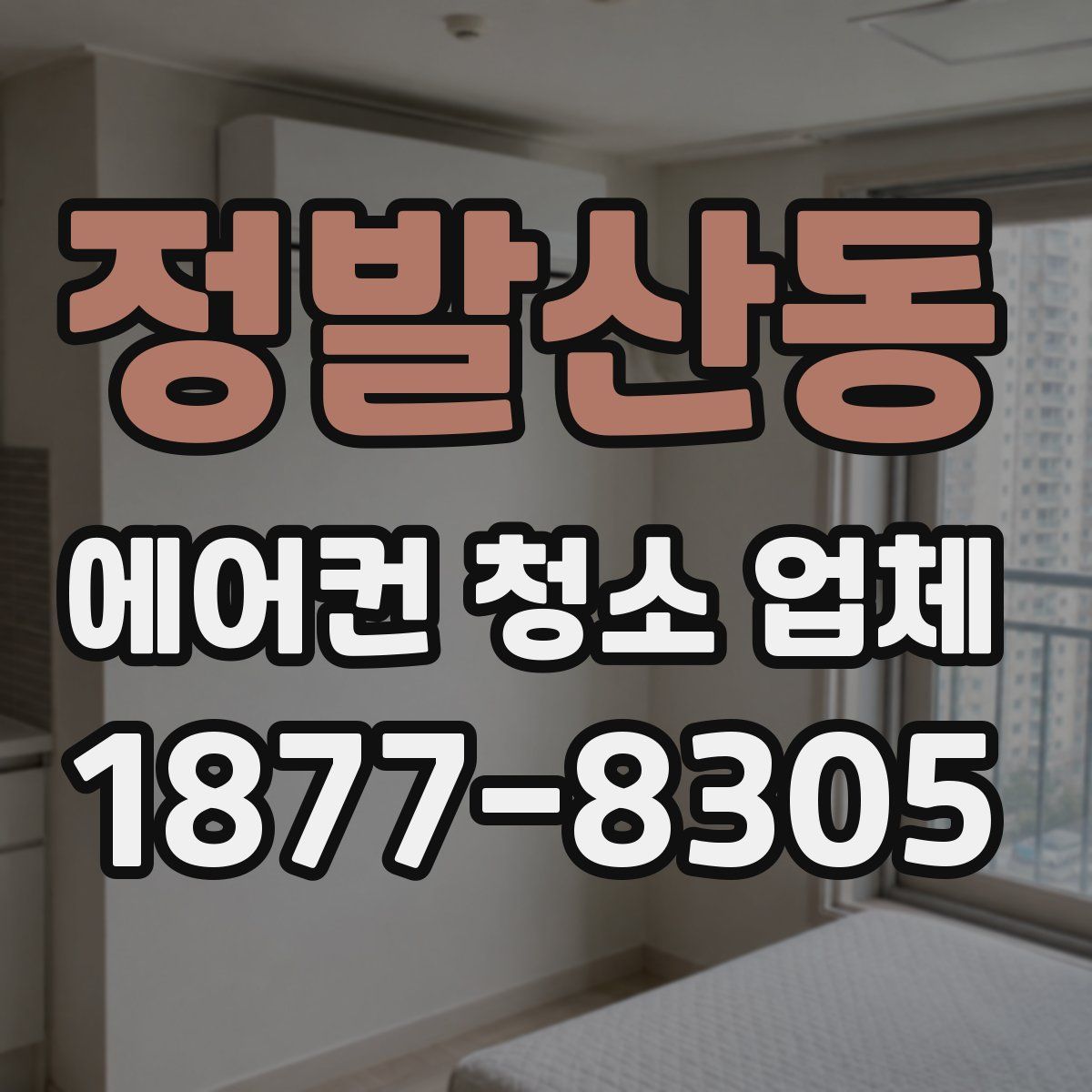 정발산동 에어컨 청소 업체