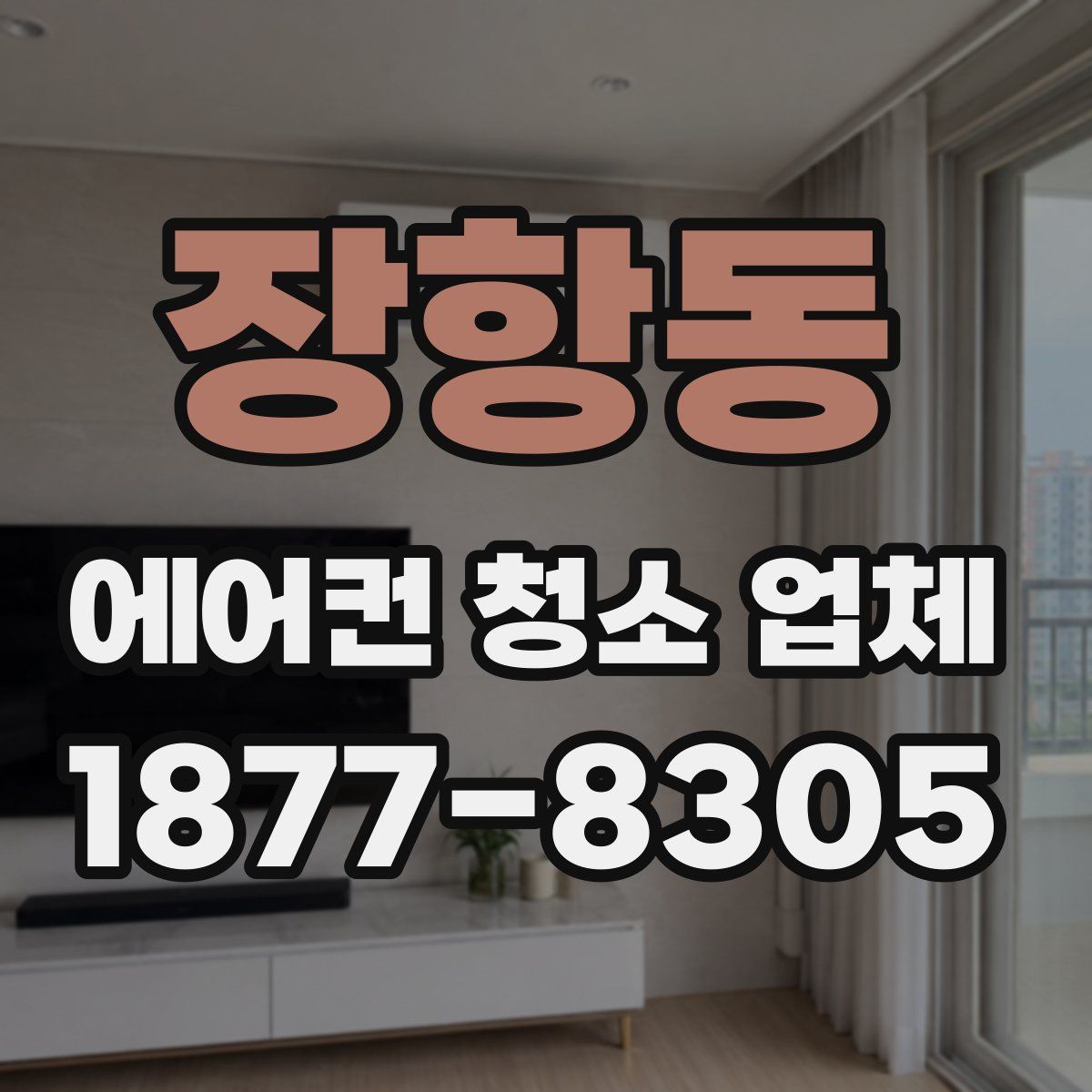 장항동 에어컨 청소 업체
