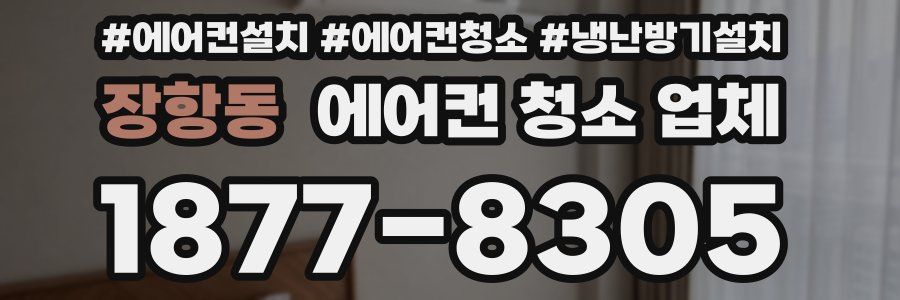 장항동 에어컨 청소 업체