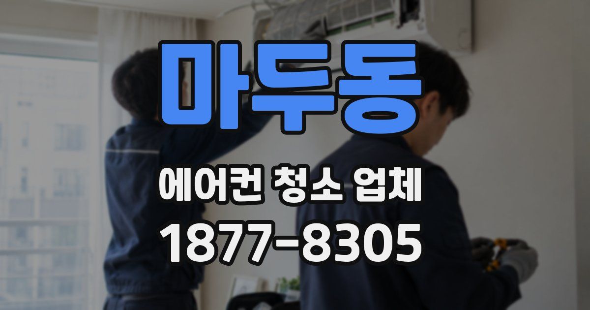 마두동 에어컨 청소 업체