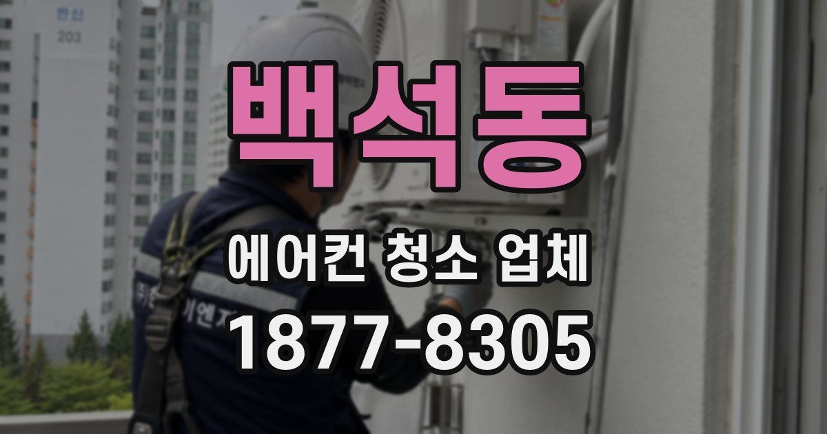백석동 에어컨 청소 업체