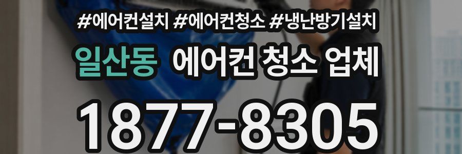 일산동 에어컨 청소 업체
