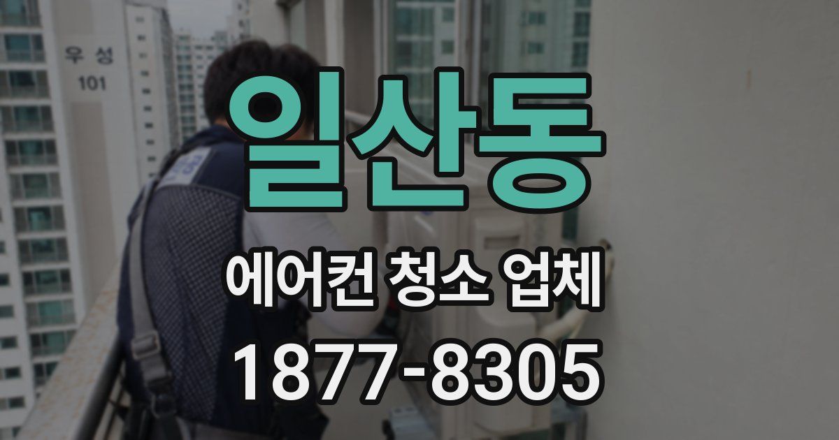 일산동 에어컨 청소 업체