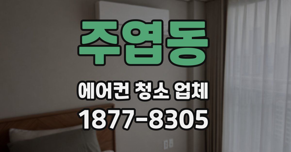 주엽동 에어컨 청소 업체