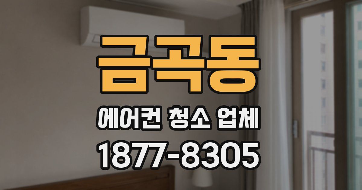 금곡동 에어컨 청소 업체