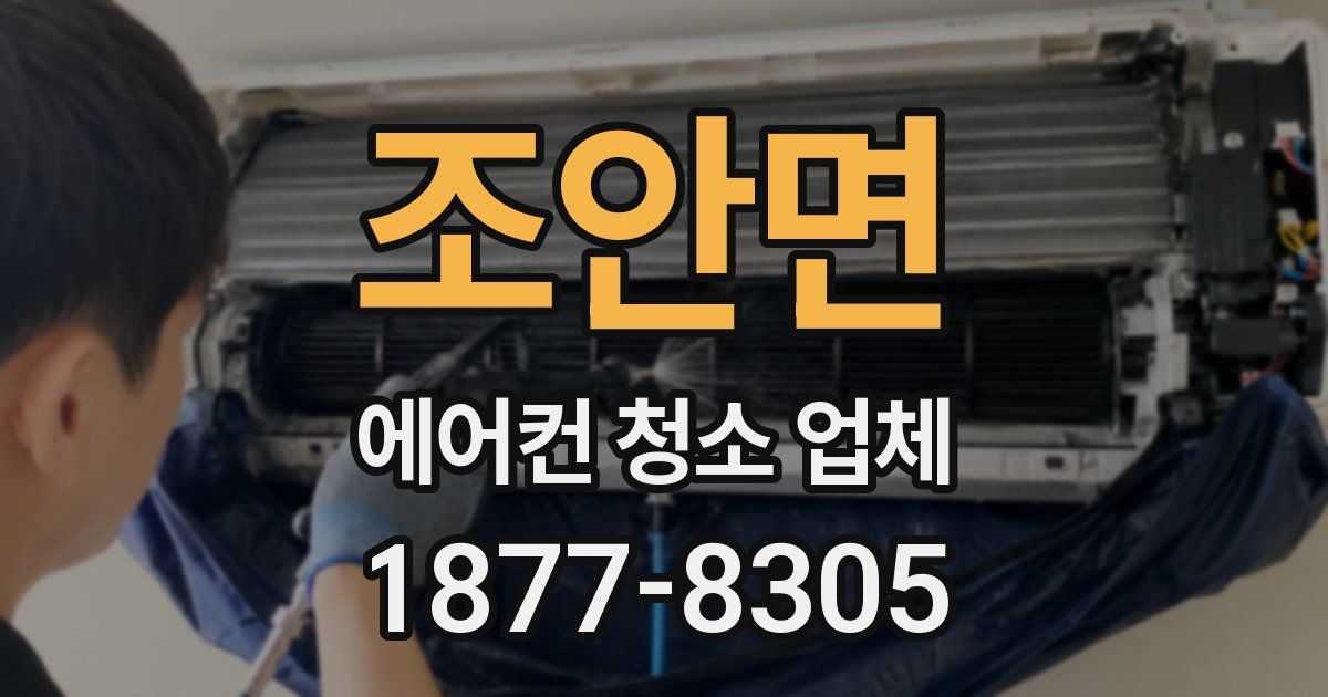 조안면 에어컨 청소 업체