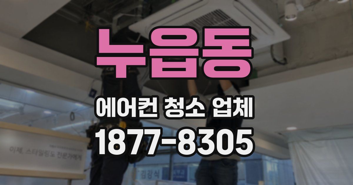 누읍동 에어컨 청소 업체