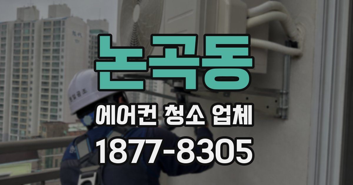 논곡동 에어컨 청소 업체