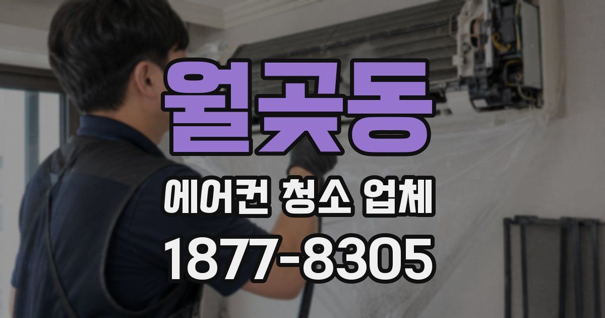 월곶동 에어컨 청소 업체