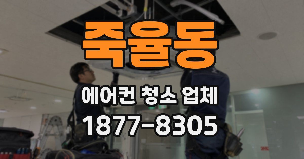 죽율동 에어컨 청소 업체