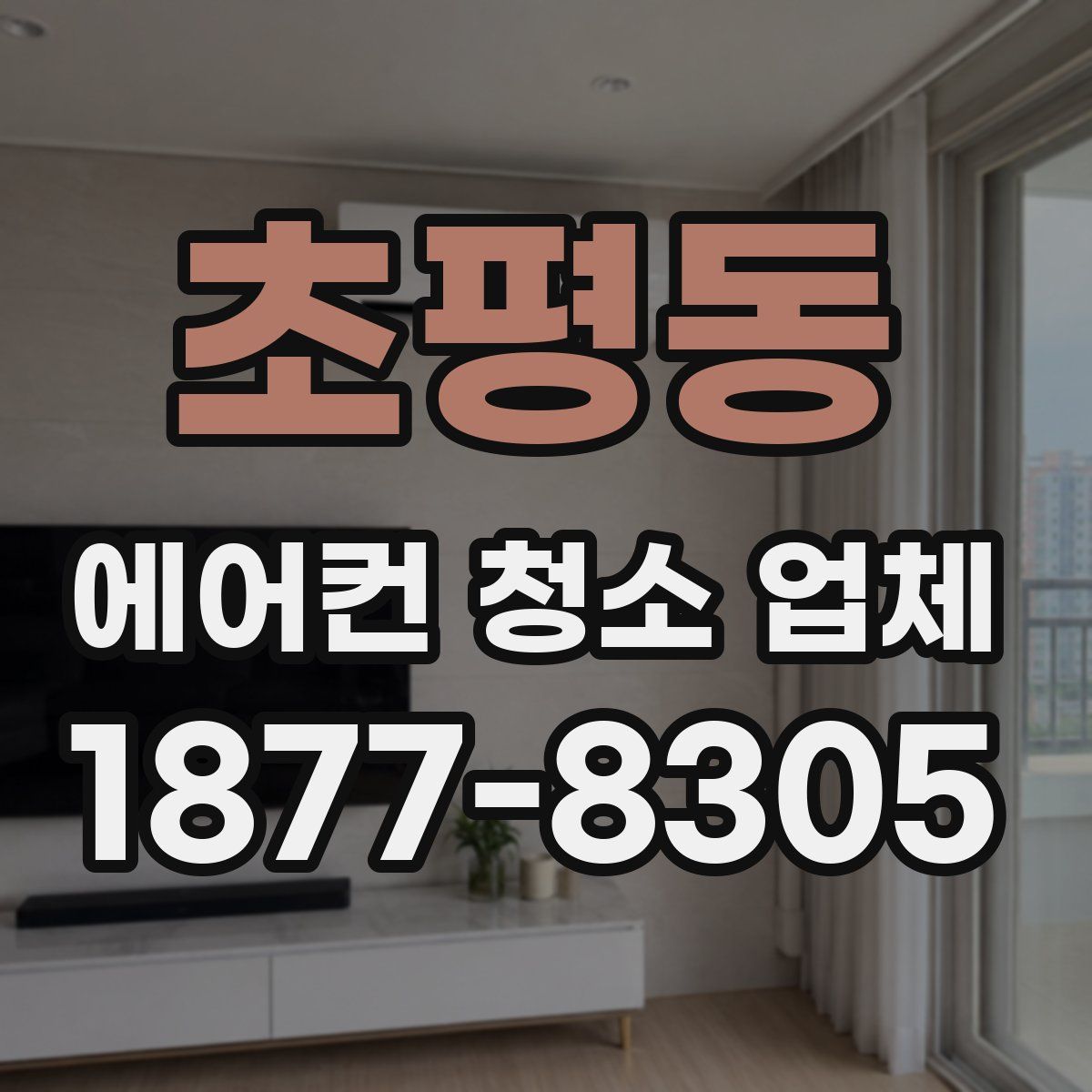 초평동 에어컨 청소 업체
