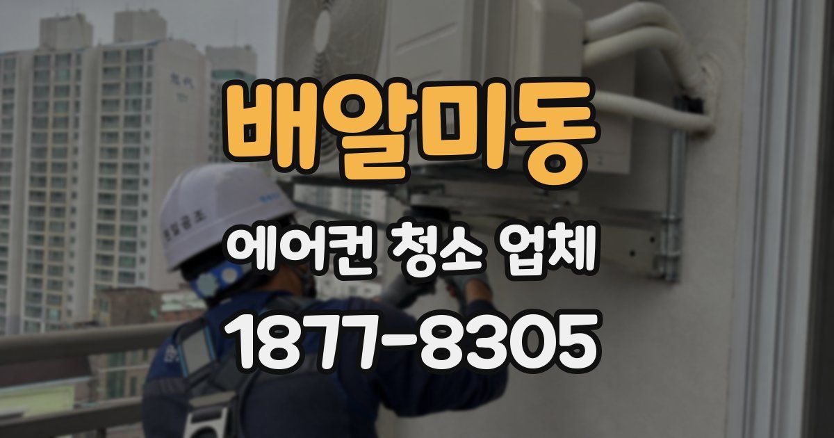 배알미동 에어컨 청소 업체