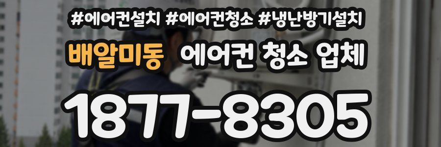 배알미동 에어컨 청소 업체