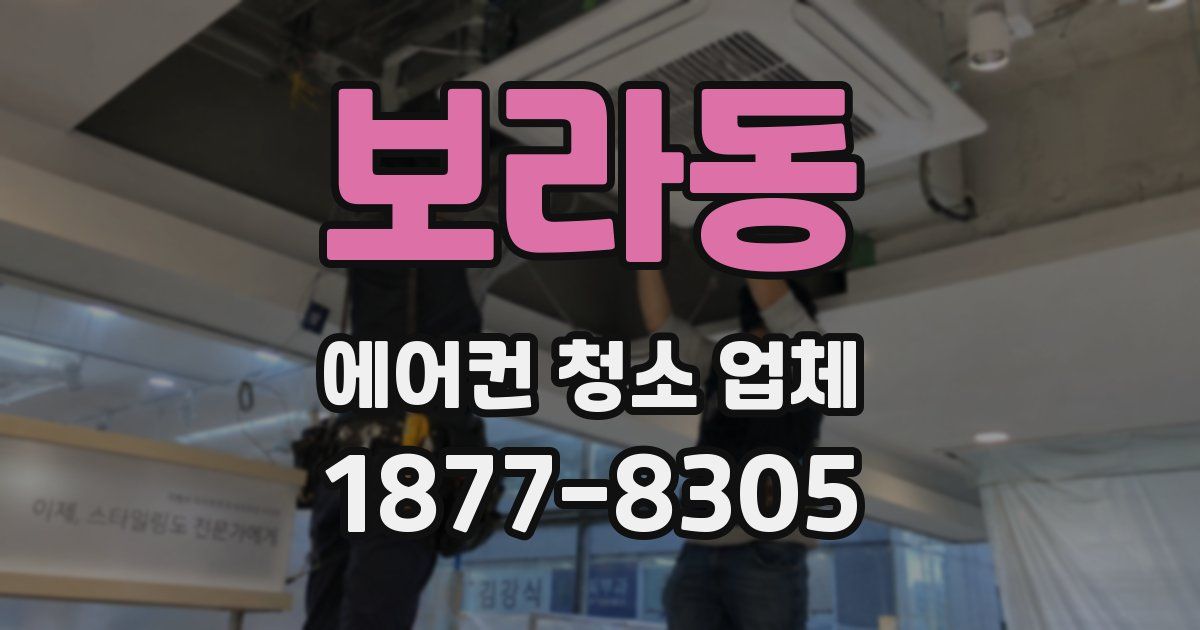 보라동 에어컨 청소 업체