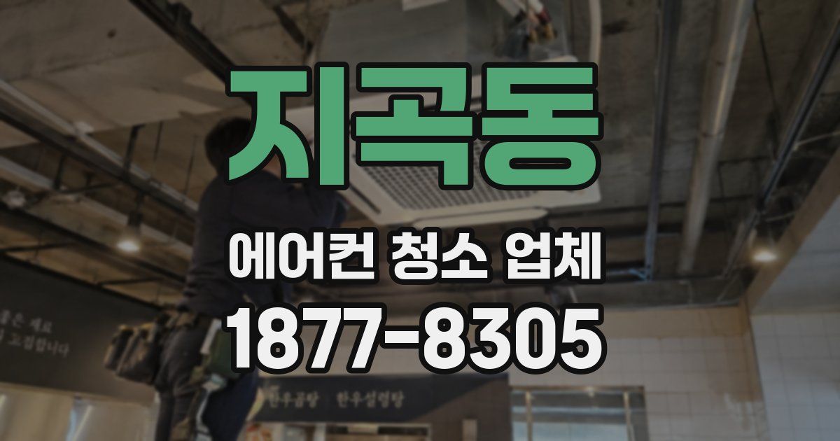 지곡동 에어컨 청소 업체