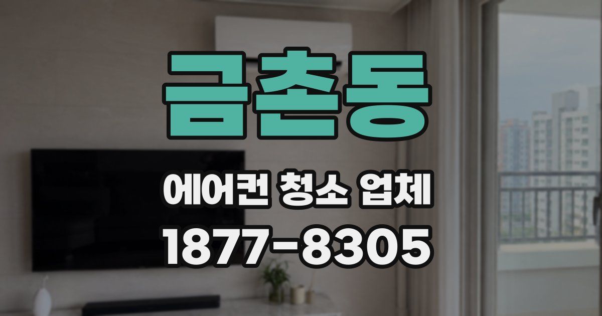 금촌동 에어컨 청소 업체