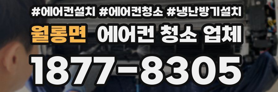 월롱면 에어컨 청소 업체